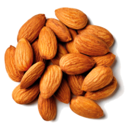 Premium Nuts & Seeds Mix – Healthy Snacking Made Easy